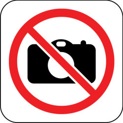 large image